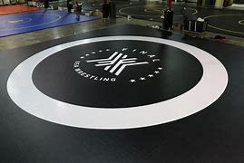 Image result for USA Wrestling Mat