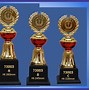Image result for Sports and Their Trophies