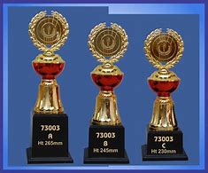 Image result for Sports and Their Trophies