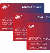 Image result for Types of AAA Membership