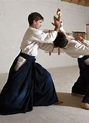 Image result for Martial Artist