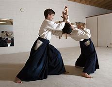 Image result for Japanese Martial Arts Types