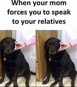 Image result for Funny Dog On Phone