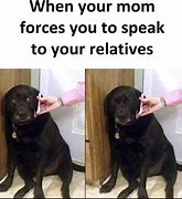 Image result for Dog Holding Phone Meme