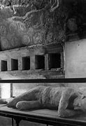 Image result for Pompeii Petrified Bodies