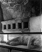 Image result for Pompeii Petrified Bodies
