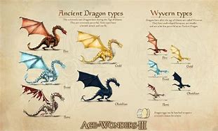 Image result for Dnd Wyvern vs Dragon
