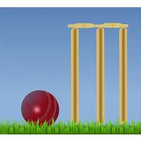 Image result for 3D Frame Cricket SVG