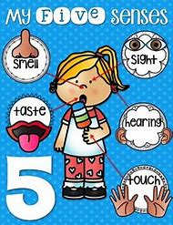 Image result for 5 Senses Anchor Chart for Toddlers
