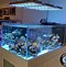 Image result for Aquarium Light Hanging Kit