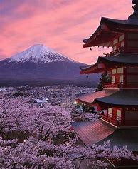 Image result for Japan Travel Aesthetic