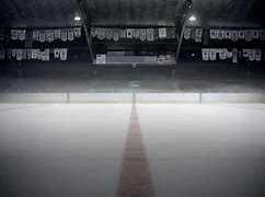 Image result for Hockey Zoom Background