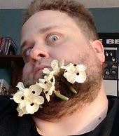 Image result for Flower Meme Face