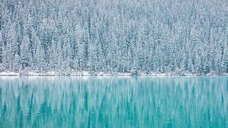 Image result for Winter Wallpaper iPad Air