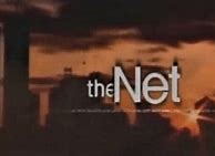 Image result for The Net TV Series