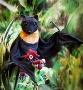 Image result for Bat Toy Shoulder Decoration