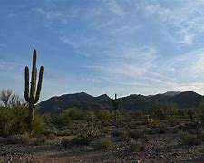 Image result for Phoenix Arizona Desert Landscape