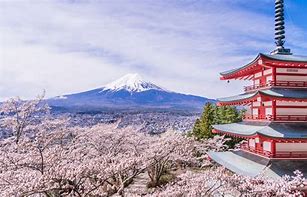 Image result for Japanese Mount Fuji