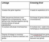 Image result for Difference Between Linkage and Crossing Over