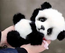 Image result for Lynthi Little Panda