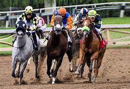 Image result for Horse Race Track Wagering