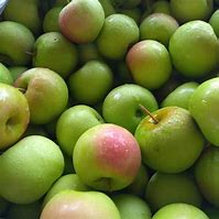 Image result for Green Apple Atse
