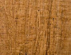 Image result for Herculaneum Papyrus Scrolls
