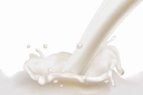 Image result for Milk