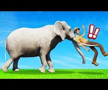 Image result for Zookeeper Elephant