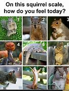 Image result for Mood Chart Meme