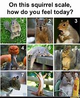 Image result for Rate Your Mood Meme