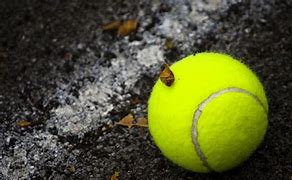 Image result for iPhone 13 Wallpaper 4K Tennis