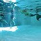 Image result for Realy Deep Swimming Pool