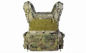 Image result for Best Tactical Plate Carrier