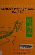 Image result for 8 Step Praying Mantis Kung Fu