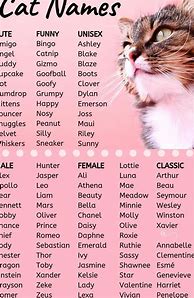 Image result for Boy Cat Names List