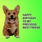 Image result for Funny Happy Birthday Good Friend
