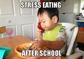 Image result for Stress Eating Meme