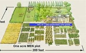 Image result for Land Acre 50Ft by 100Ft