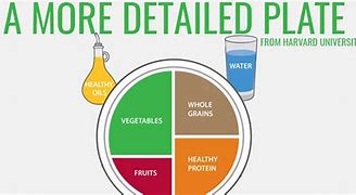 Image result for Healthy Eat Well Plate