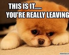 Image result for Funny Goodbye Memes for Co-Workers