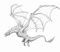 Image result for Dragon Back Drawing