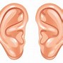 Image result for Bat Ears Human Hearing Aids