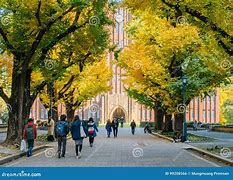 Image result for The University of Tokyo Campus