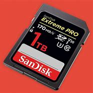 Image result for 1 Terabyte SD Card SanDisk