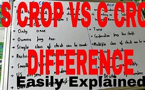 Image result for Diff Between S Corp and C Corp