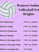 Image result for Vally Ball Net