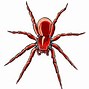 Image result for Spider Animal Cartoon