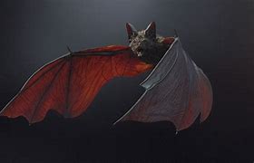 Image result for Vampire Bat Drawing