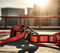 Image result for Safety Harness Lanyard